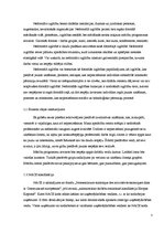 Referāts 'Biznesa plānam izvēlētās industrijas un produkta analīze', 5.