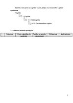 Referāts 'Biznesa plānam izvēlētās industrijas un produkta analīze', 6.