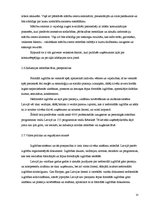 Referāts 'Biznesa plānam izvēlētās industrijas un produkta analīze', 13.