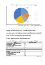 Referāts 'Biznesa plānam izvēlētās industrijas un produkta analīze', 21.