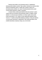 Referāts 'Biznesa plānam izvēlētās industrijas un produkta analīze', 24.