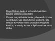 Prezentācija 'Magnētiskais lauks', 4.