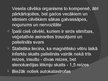 Prezentācija 'Magnētiskais lauks', 10.