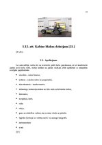 Prezentācija 'Autovilcēji', 13.