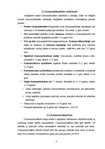 Referāts 'Sieviešu un vīriešu īpatnību apzināšanās ontoģenēzē', 6.