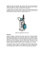 Konspekts 'Kādi ir ūdens sūkņu veidi ūdens nogādāšanai no upītes uz dārzu vai dārza māju', 2.