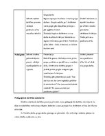 Prakses atskaite 'Integrētā mācību prakse sākumskolā', 8.