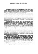 Eseja 'Ķīmisko reakciju ātrums', 1.