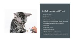 Prezentācija 'Smēķēšana', 3.