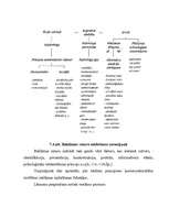 Diplomdarbs 'SIA "Rūpnīca Veseta" betona izstrādājumu ražošanas attīstības perspektīvas', 97.