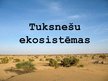 Prezentācija 'Tuksnešu ekosistēmas', 1.