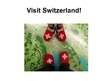 Prezentācija 'Tourism in Switzerland', 20.