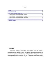 Referāts 'A/s "Dzintars" produkta markas tēla veidošana, lietošana un efektivitāte', 2.