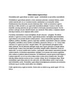 Konspekts 'Kā izgatavo mikroshēmas', 4.