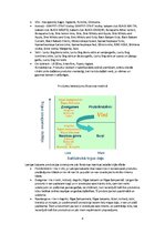 Referāts 'Mārketinga kompleksa plāns a/s "Latvijas Balzams"', 8.