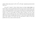 Referāts 'Latvijas kultūras vēsture', 5.