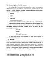 Referāts 'SIA "Pārvadājumi" konkurētspējas novērtējums ', 8.