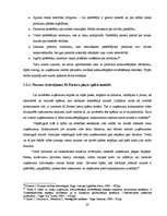 Referāts 'SIA "Pārvadājumi" konkurētspējas novērtējums ', 20.