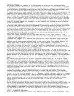 Eseja 'Fully Marketing Report', 1.