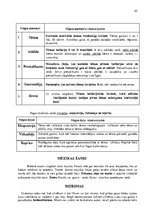 Konspekts 'Мūzikas izteiksmes līdzekļi', 47.