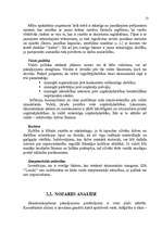 Referāts 'SIA "Londa" mārketinga vides un stratēģijas analīze un darbības plānošana', 13.