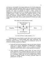Referāts 'SIA "Londa" mārketinga vides un stratēģijas analīze un darbības plānošana', 14.