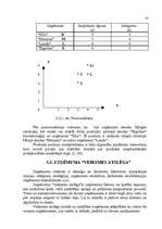 Referāts 'SIA "Londa" mārketinga vides un stratēģijas analīze un darbības plānošana', 27.