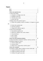 Referāts 'Neironu tīkli', 2.