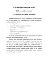 Referāts 'Neironu tīkli', 6.