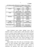 Referāts 'Neironu tīkli', 7.