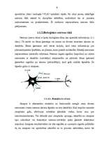 Referāts 'Neironu tīkli', 8.
