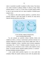 Referāts 'Neironu tīkli', 21.