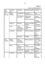 Referāts 'Neironu tīkli', 23.