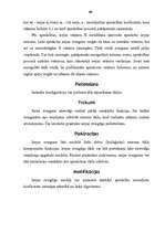 Referāts 'Neironu tīkli', 40.