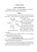 Referāts 'Neironu tīkli', 41.