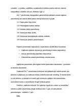 Prakses atskaite 'Prakses atskaite finanšu grāmatvedībā', 6.