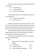 Prakses atskaite 'Prakses atskaite finanšu grāmatvedībā', 12.