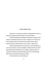 Prakses atskaite 'Prakses atskaite finanšu grāmatvedībā', 19.