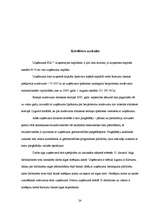 Prakses atskaite 'Prakses atskaite finanšu grāmatvedībā', 24.