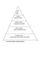 Konspekts 'Pacientu izglītošana pirms un pēc aortokoronārās šuntēšanas', 5.