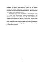 Referāts 'Tūrisma maksājuma bilance', 8.