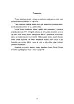 Referāts 'Tūrisma maksājuma bilance', 10.