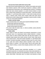 Referāts 'Vasaras sporta sacensību organizēšana 2012.gadā Rēzeknes pilsētas jauniešiem', 10.