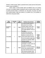 Referāts 'Vasaras sporta sacensību organizēšana 2012.gadā Rēzeknes pilsētas jauniešiem', 13.