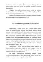 Referāts 'Negatīvās vērtīborientācijas veidošanās pusaudžu vecumposmā', 13.