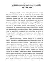 Referāts 'Negatīvās vērtīborientācijas veidošanās pusaudžu vecumposmā', 18.