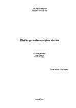 Referāts 'Cilvēka gremošanas orgānu sistēma', 2.