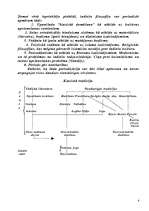 Referāts 'Indiešu filosofija', 6.