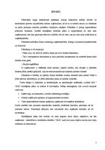 Referāts 'Uzņēmuma stratēģiskais attīstības plāns', 3.