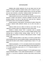 Referāts 'Uzņēmuma stratēģiskais attīstības plāns', 4.